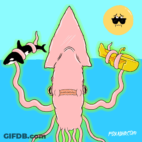 Orca Captivated By Giant Squid GIF