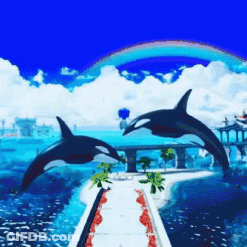 Orca Couple On Rainbow GIF