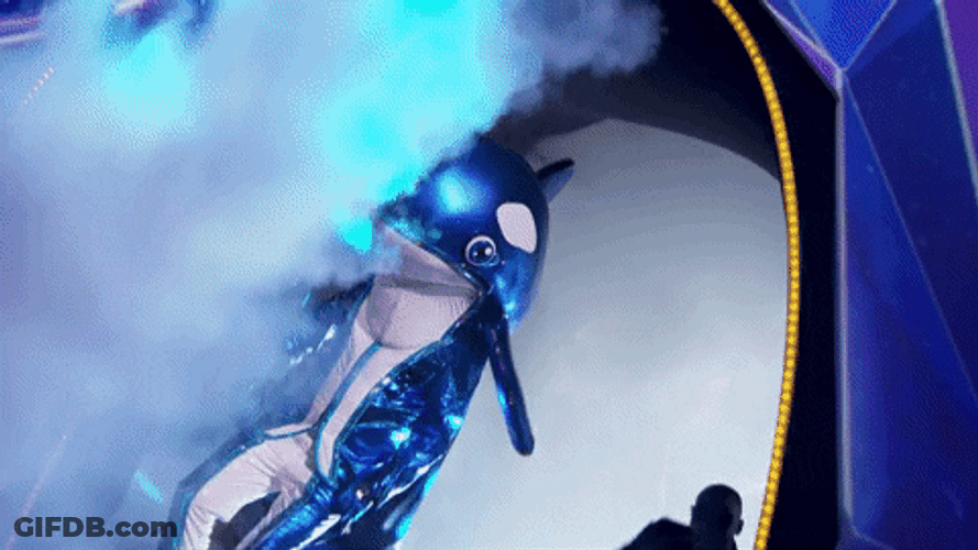 Orca On The Stage GIF