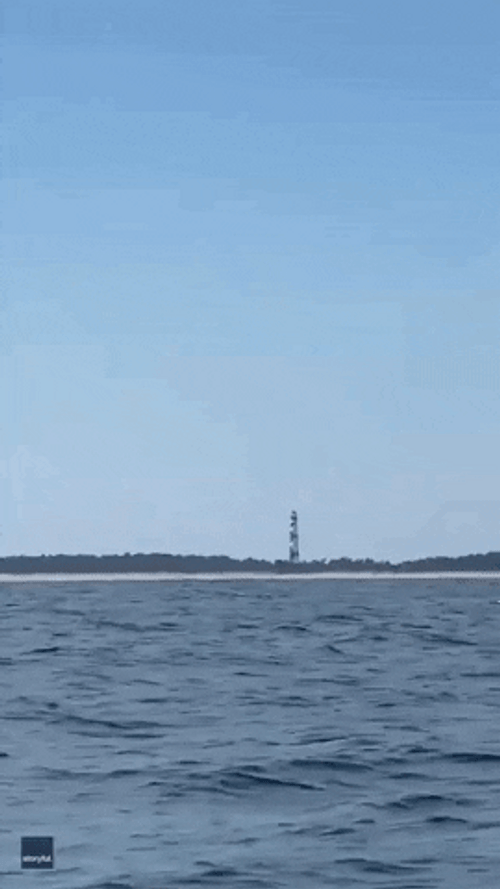 Orca Trying To Fly GIF