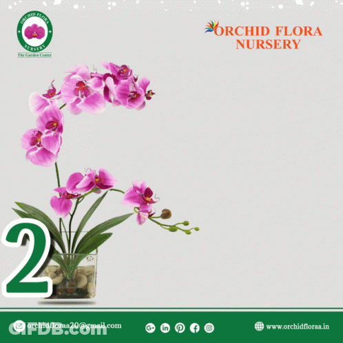 Orchid Flora Nursery Wishes You Happy New Year 2021 GIF