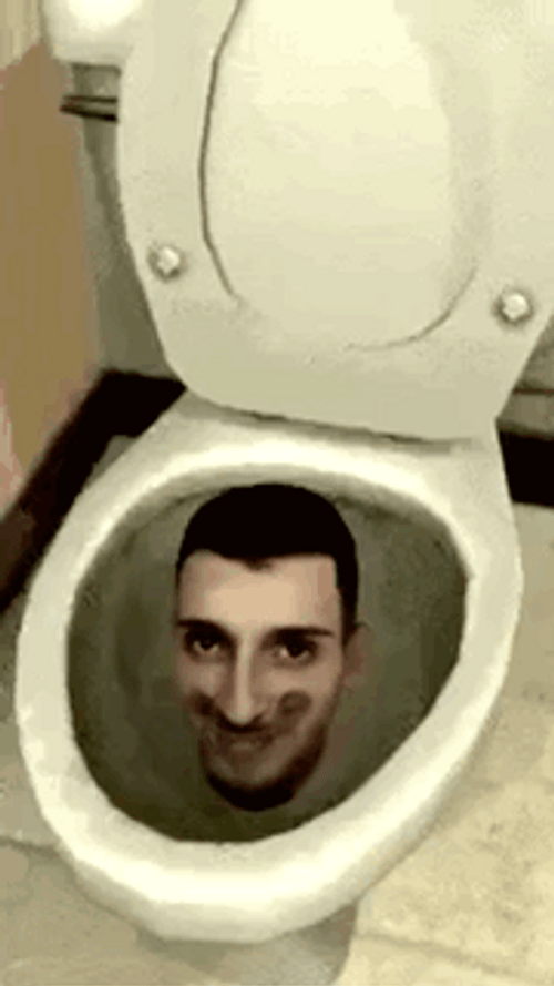 Ordinary Skibidi Toilet Meme GIF
