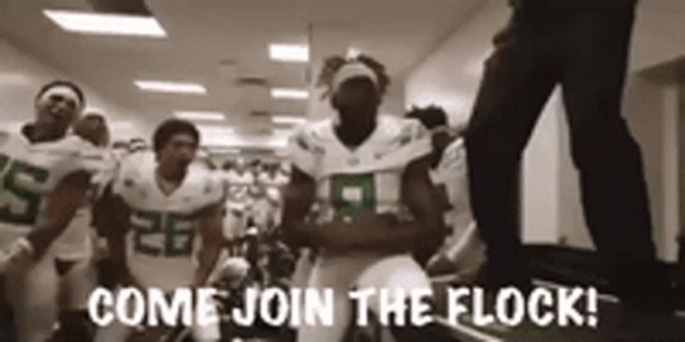 Oregon Ducks Come Join The Flock GIF