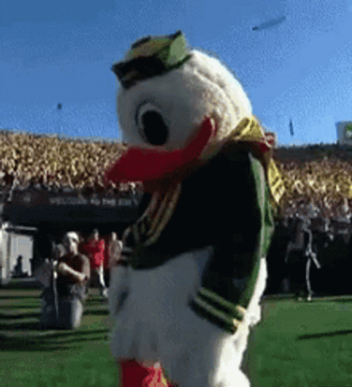 Oregon Ducks Dance On Field GIF