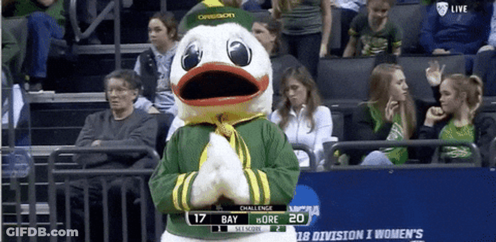 Oregon Ducks Mascot Puddles Applauding GIF