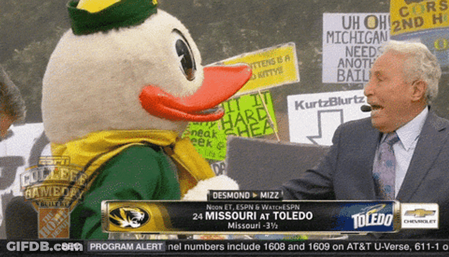 Oregon Ducks Puddles Playful Fight GIF