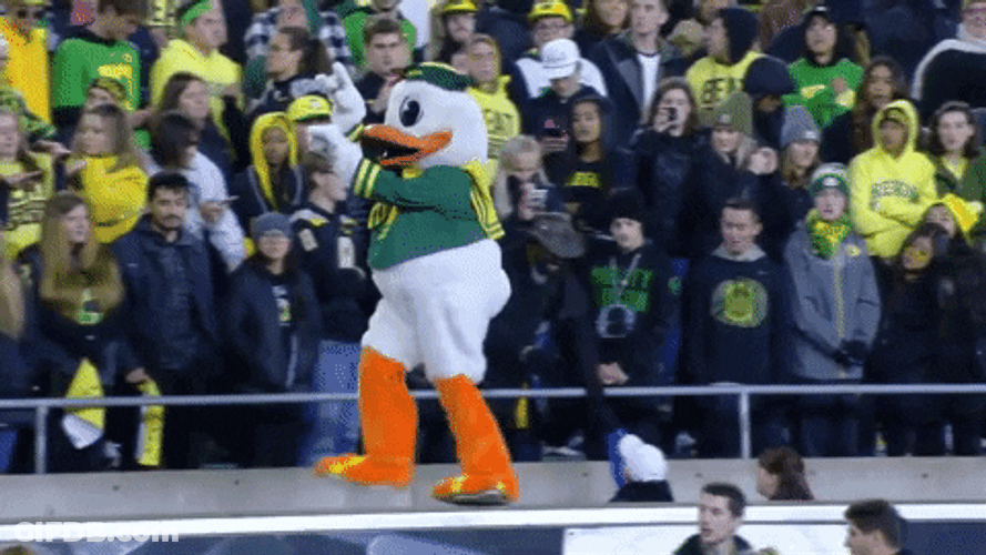 Oregon Mascot Puddles Having Fun With Crowd GIF
