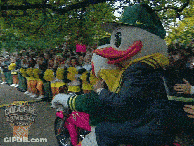 Oregon Puddles Bike Ride Waving GIF