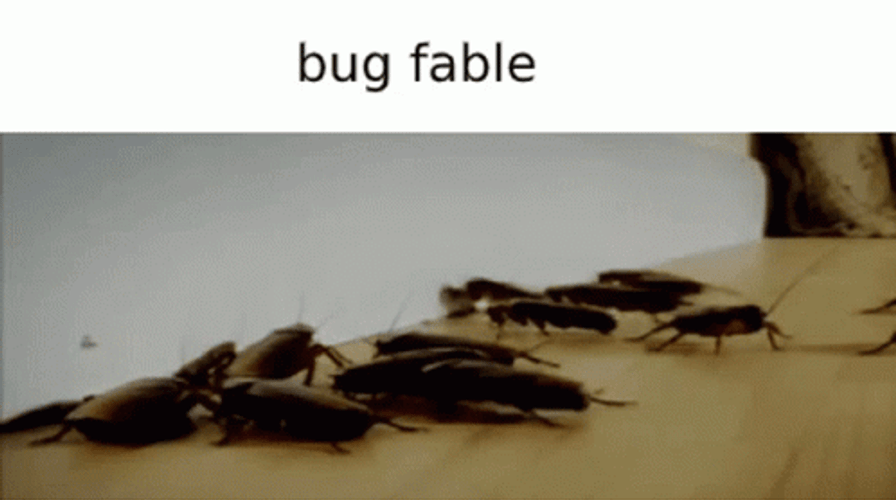 Oriental Insect Cockroaches GIF