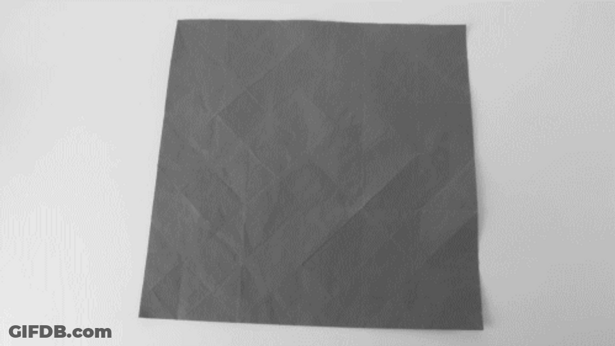 Origami Transforms To Rhino GIF