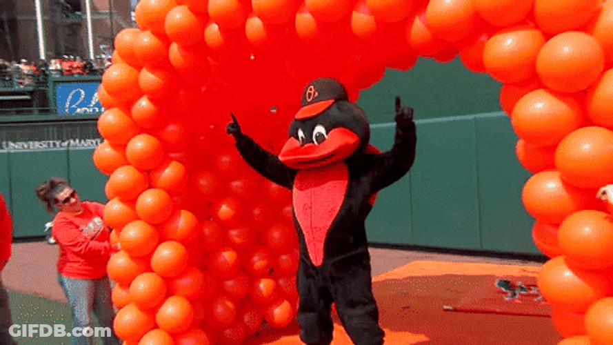 Orioles Mascot Grand Entrance GIF