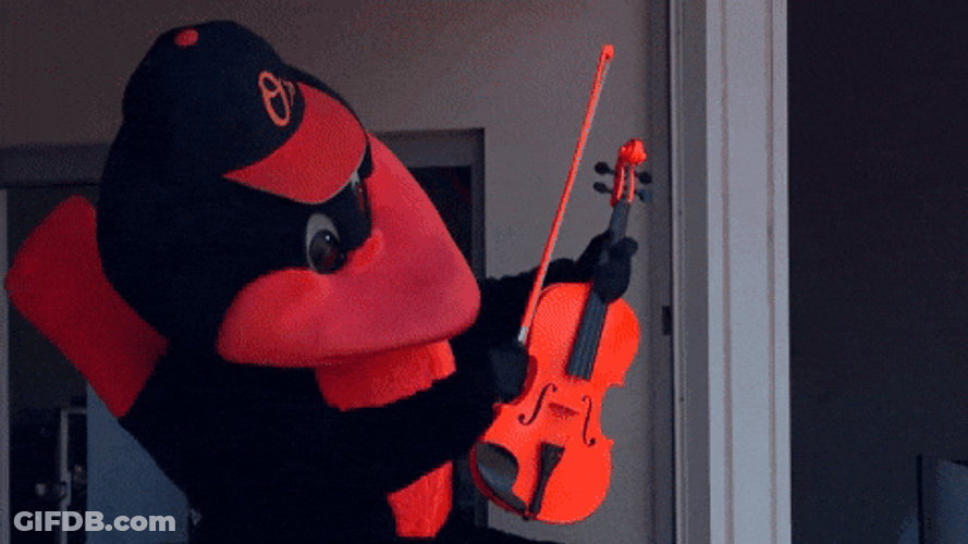 Orioles Mascot Playing Violin GIF
