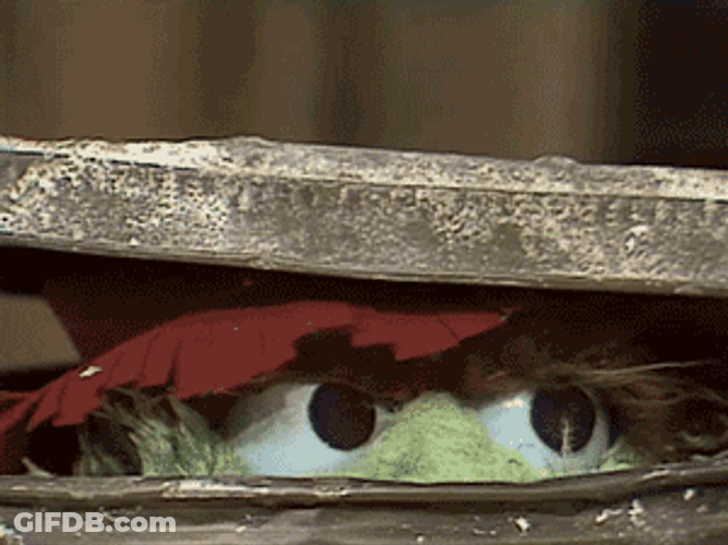 Oscar The Grouch Hiding GIF
