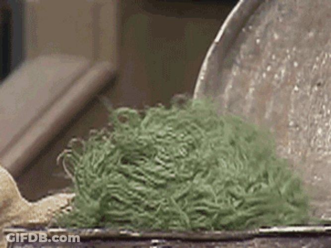 Oscar The Grouch Slamming His Head GIF