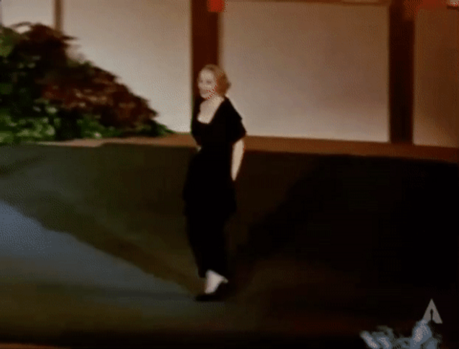 Oscars Academy Winner Marlene Dietrich GIF
