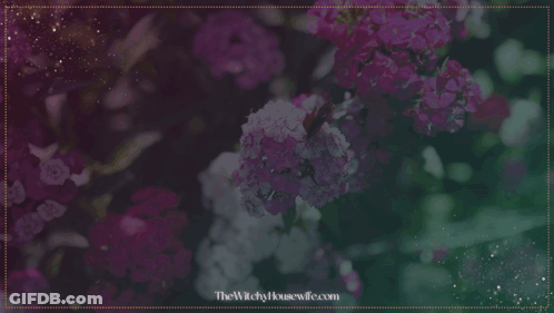 Ostara Blessings Sign GIF