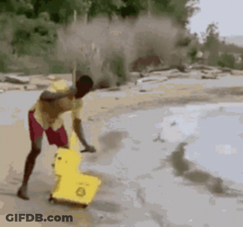 Ostrich Doing Trick With Feathers Spread In Desert GIF