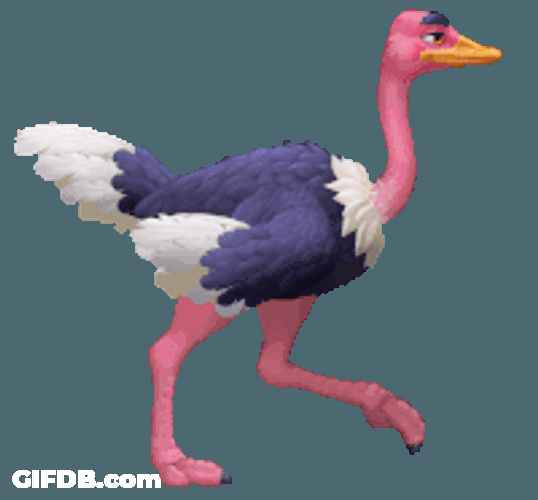 Ostrich Gif Ii Sticker GIF