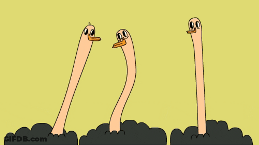 Ostrich Having Funny Chitchat GIF