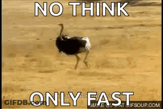 Ostrich Running In Desert No Think Only Fast GIF