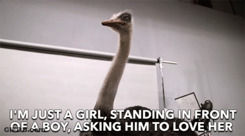 Ostrich Saying I'm Just A Girl Standing In Front Of A Boy GIF
