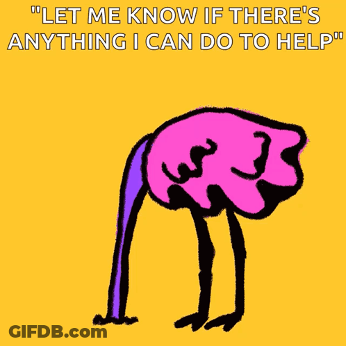 Ostrich Saying Let Me Know If There's Anything I Can Do To Help GIF