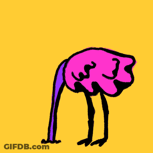 Ostrich Searching For Food On Ground GIF