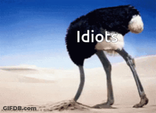 Ostrich Standing In Sand Saying Idiots GIF