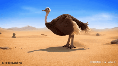 Ostrich Standing In Sandy Desert GIF
