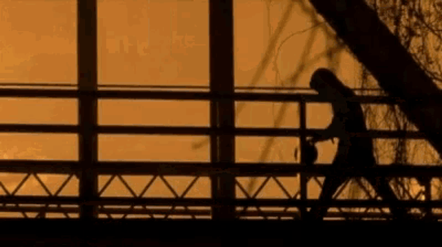 Oth Bridge GIF
