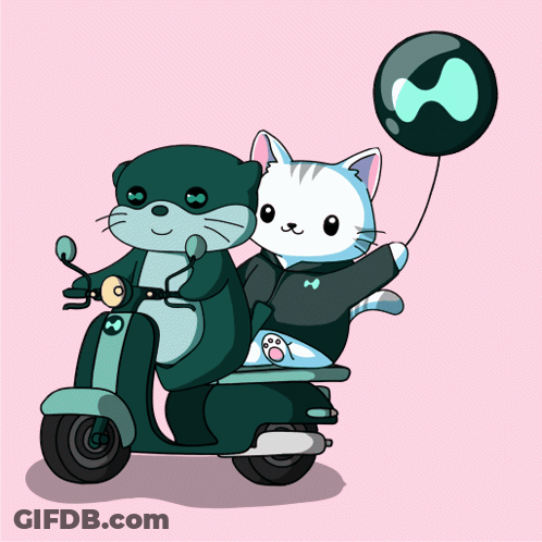 Otter And Cat Riding Scooter GIF