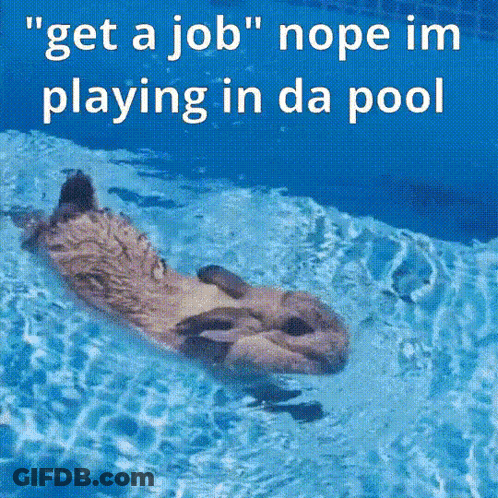 Otter Playing In Pool Saying Get A Job Nope GIF