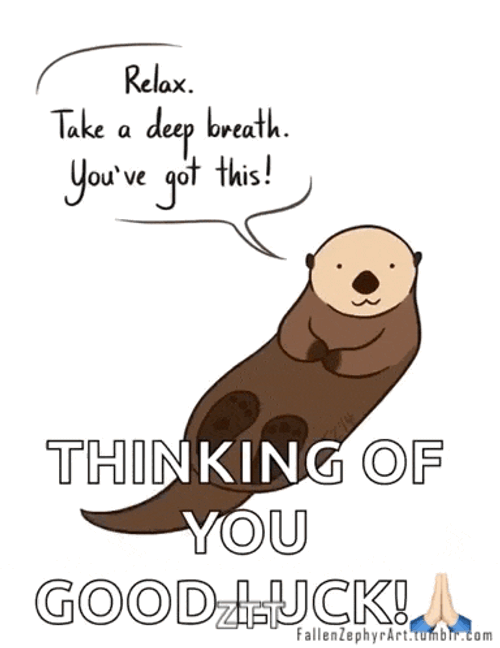 Otter Relax GIF