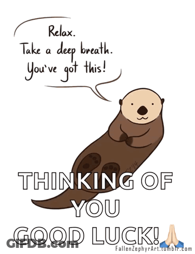Otter Saying Relax Take A Deep Breath You've Got This Good Luck GIF