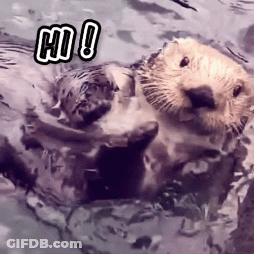 Otter Wave Hi GIF