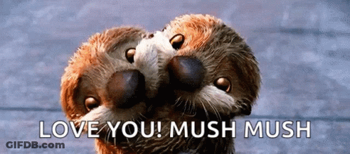Otters Hugging With Love You Mush Mush GIF