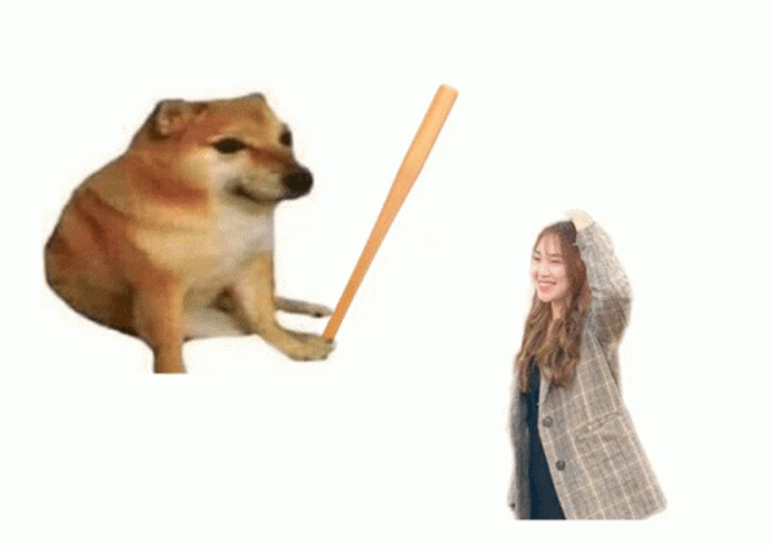 Ouch Doge Bonk Girl Meme GIF
