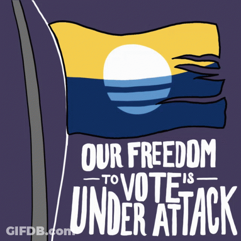 Our Freedom To Vote Under Attack Flag GIF