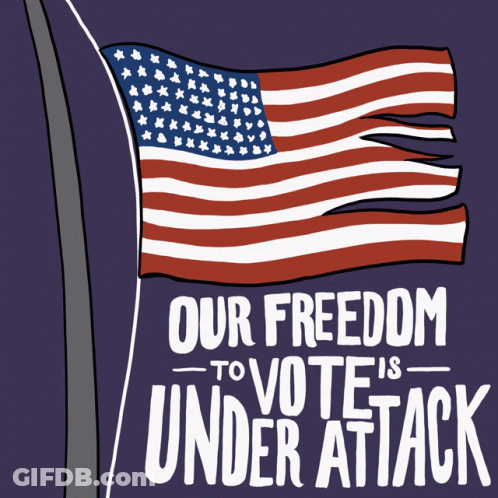 Our Freedom To Vote Under Attack GIF