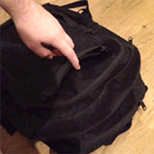 Out Of Bag Surprised Cat GIF