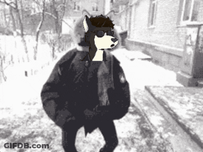 Out On The Winter Happy Dance Meme GIF