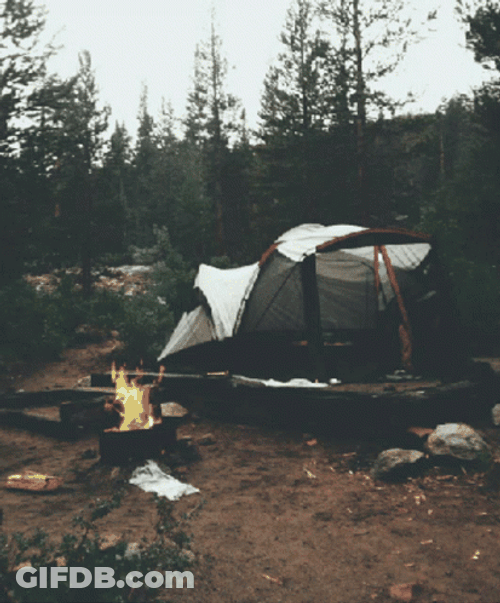 Outdoor Camping Image Compilation GIF