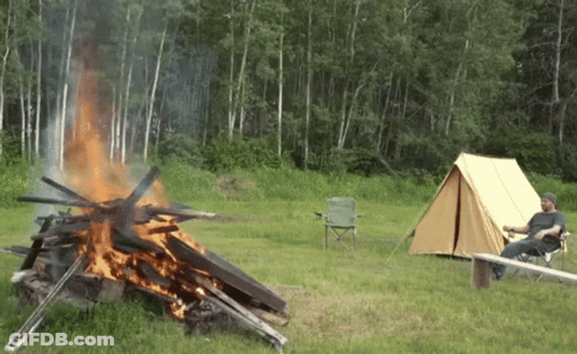 Outdoor Woods Camping Bonfire GIF