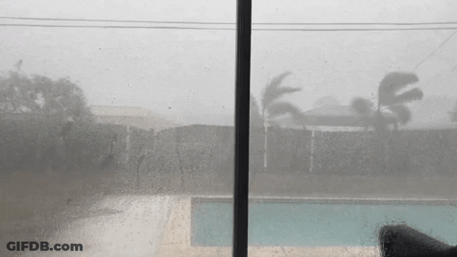 Outside Window Rainy Tuesday GIF