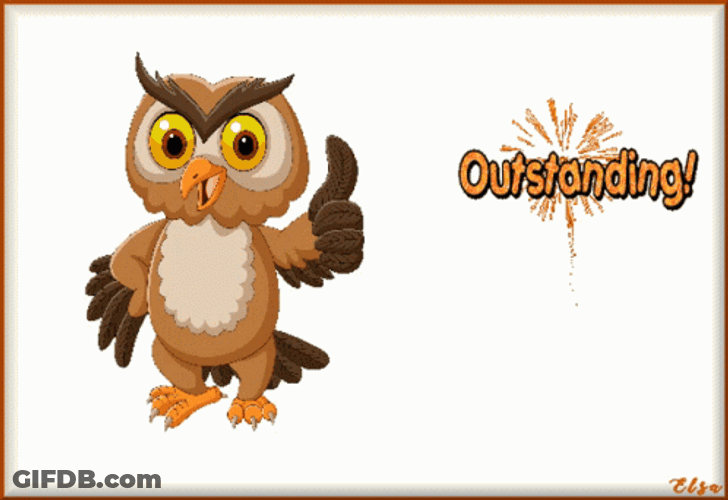 Outstanding Owl Cartoon GIF
