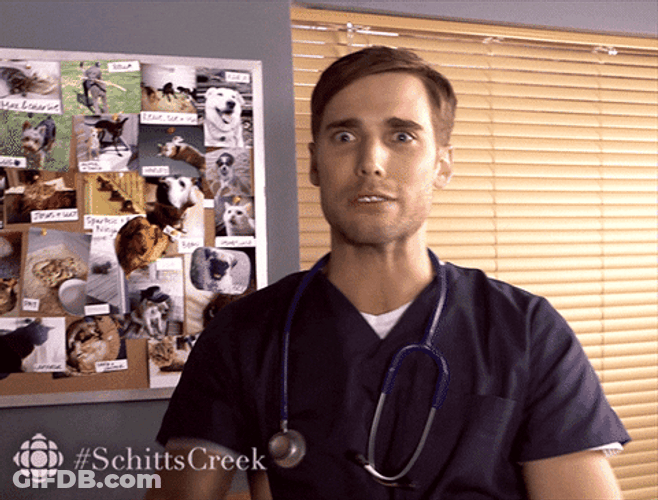 Over Your Head Schitts Creek GIF