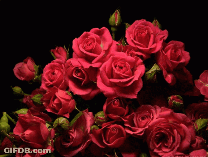 Overflowing Glittery Red Roses GIF