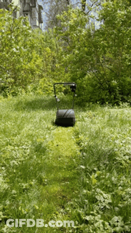 Overgrown Grass In A Garden GIF