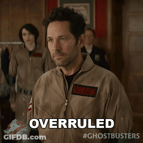 Overruled Paul Rudd GIF