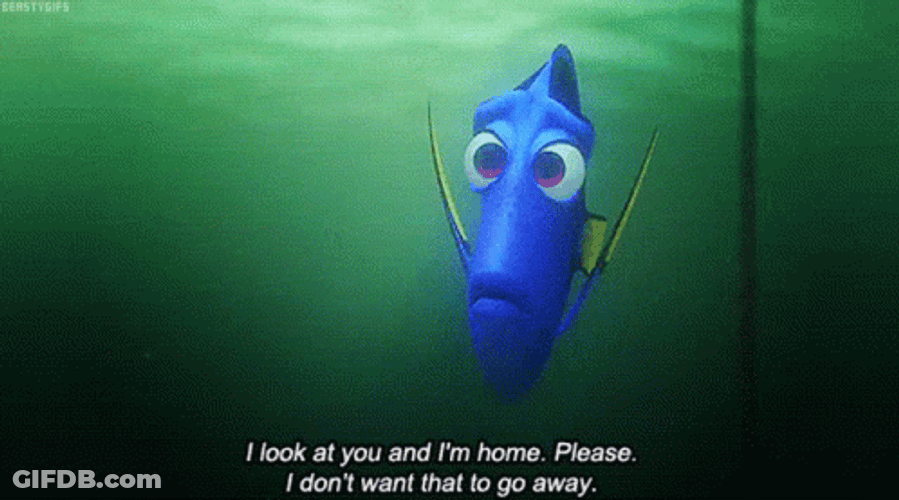 Overthinking Dory GIF